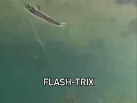 Basstrix Flash-Trix Soft Plastic Minnow - 4 Inch