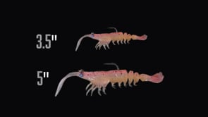 Z-Man Prawn StarZ Soft Plastic Prawn - 3.5 Inch