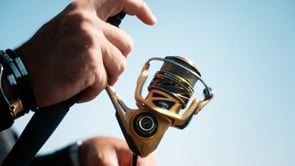 Lew's Custom Pro GEN2 Spinning Reels - 2024 Models