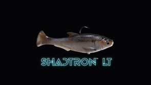 Z-Man Shadtron Line Through Fast Sinking Swimbait - 6 Inch