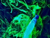 The Original Fish Formula Bait-Pop Attractant Pro Packs - 3 CT