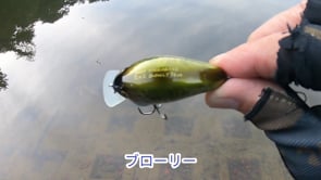 Megabass IXI Blowly Shallow Crankbait - 2 Inch