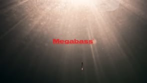 Megabass Haze-ST Soft Plastic Minnow - 3.4 Inch