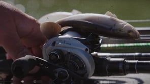 Z-Man Swag LT Swimbait - 6 Inch