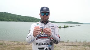 Yamamoto Yama Bug - 3.75 Inch