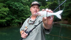 Bucca Trick Shad Glidebait - 8 Inch