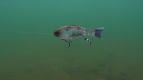 Bucca Bull Shad Swimbait - 5 Inch
