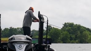 Bill Lewis Deep Range 24 Crankbait - 1 5/8 oz