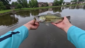 Z-Man Chatterbait MicroMax