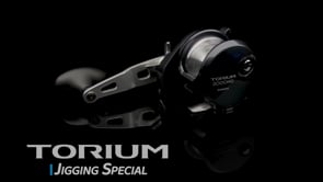 Shimano Torium A Conventional Reel