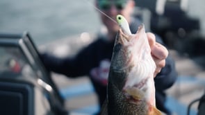 Berkley PowerBait Power Vibe - 1.5 Inch