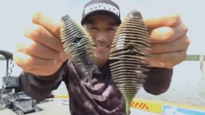 Geecrack Bellows Gill Floating Elastomer Soft Plastic Creature Bait - 2.8 Inch