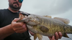 Great Lakes Finesse Flat Cat - 2.25 Inch