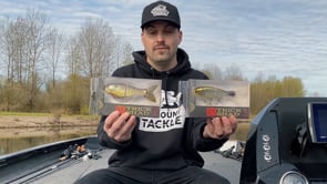 Bucca Baby Trick Shad Glidebait - 4 Inch