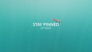 Great Lakes Finesse Stay Pinned Spy Bait - 2.75 Inch