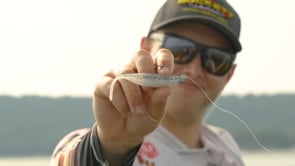 Duckett Fishing Sway Minnow - 3.75 Inch
