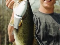 Bass Mafia x Roman Made Konoshiro Glide Bait