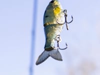 Bucca BFS Trick Shad - 2.5 Inch