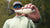 Strike King Hog Father Jr. Swimbait - 7 Inch