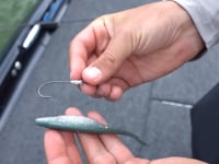 Core Tackle Scamper Rig