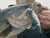 Strike King Hog Father Jr. Swimbait - 7 Inch