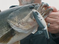 Strike King Hog Father Jr. Swimbait - 7 Inch