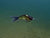 SPRO KGB Lil Guy 120 Glide Bait