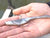 Core Tackle Scamper Rig
