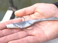 Core Tackle Scamper Rig