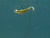 Z-Man Scented Jerk ShadZ 4 inch Soft Plastic Jerkbait 5 pack
