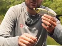 Strike King Hog Father Jr. Swimbait - 7 Inch