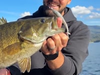 VMC Minnow Shaker Jighead
