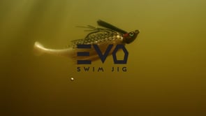 Z-Man Evo Swim Jig