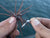 Core Tackle Dice Rig - 3 Pack