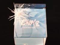 Hideup Coike 13mm Soft Plastic Urchin - 1 Pack