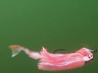 Z-Man ChatterBait PZ2