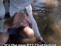 Z-Man ChatterBait PZ2