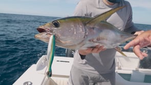 Yo-Zuri Mag Popper Topwater Popper 190mm - 7.5 Inch