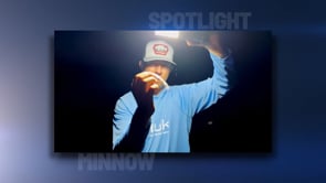 Big Bite Baits Spotlight Minnow - 4.25 Inch