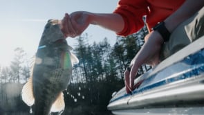 Shimano Outlier Swimbait Casting Rods