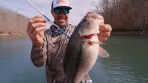 Rapala Crush City Mayor Swimbait - 3.5 Inch