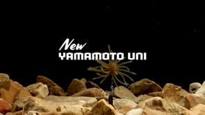 Yamamoto Baits Uni Urchin - 13mm