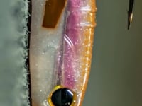 Big Bite Baits Spotlight Minnow - 4.25 Inch