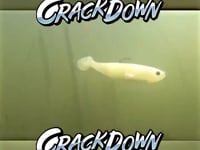 Geecrack Crackdown Dual Line Through Swimbait - 6 Inch