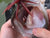 Berkley PowerBait MaxScent Moeba - 4.5 Inch