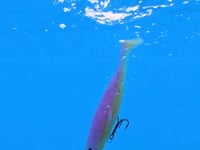 Geecrack Crackdown Dual Line Through Swimbait - 6 Inch