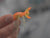Evergreen Flutter Gizmo Fuzzy Bug - 1.5 Inch