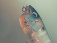 Megabass DOGMAX Topwater Walker - 5.1 Inch