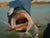 Megabass X-Blazar Tailspin Blade Bait