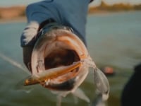 Megabass X-Blazar Tailspin Blade Bait